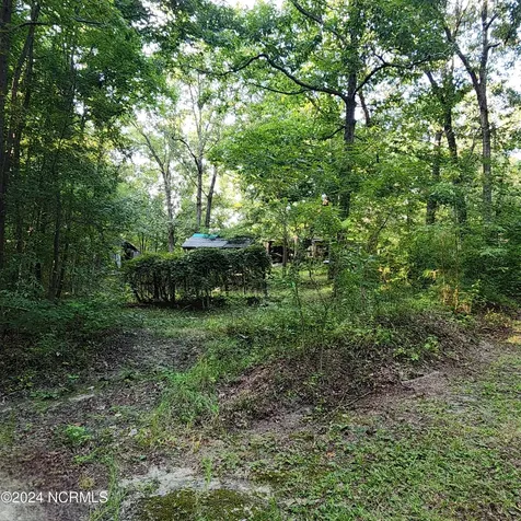 471 Turlington Drive Benson NC 27504