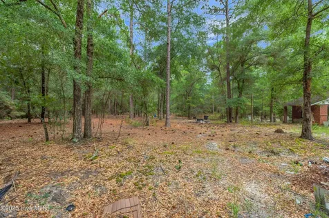 6715 Canetuck Road Currie NC 28435