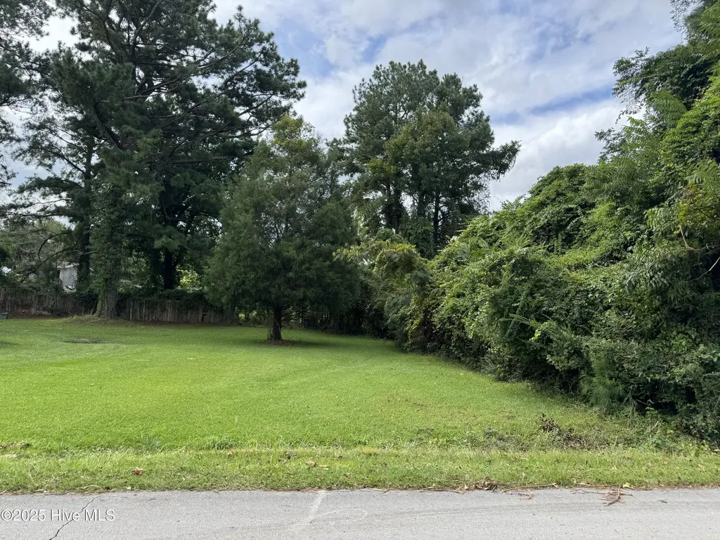 1909 Aycock Avenue New Bern NC 28562