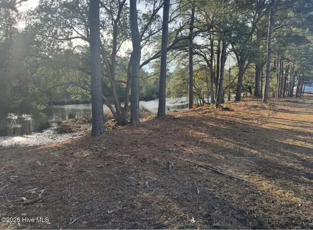 563 Creek Place Road Arapahoe NC 28510