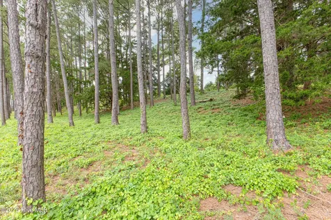 4042 Barnes Bluff Drive SE Southport NC 28461