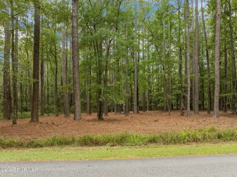 Lot 120 Pamlico River Drive Washington NC 27889