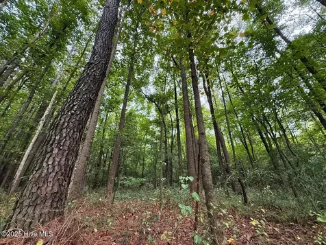 0 Stocking Head Road Greenevers NC 28458