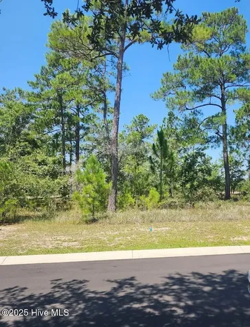 551 Glitter Bay Court Shallotte NC 28470