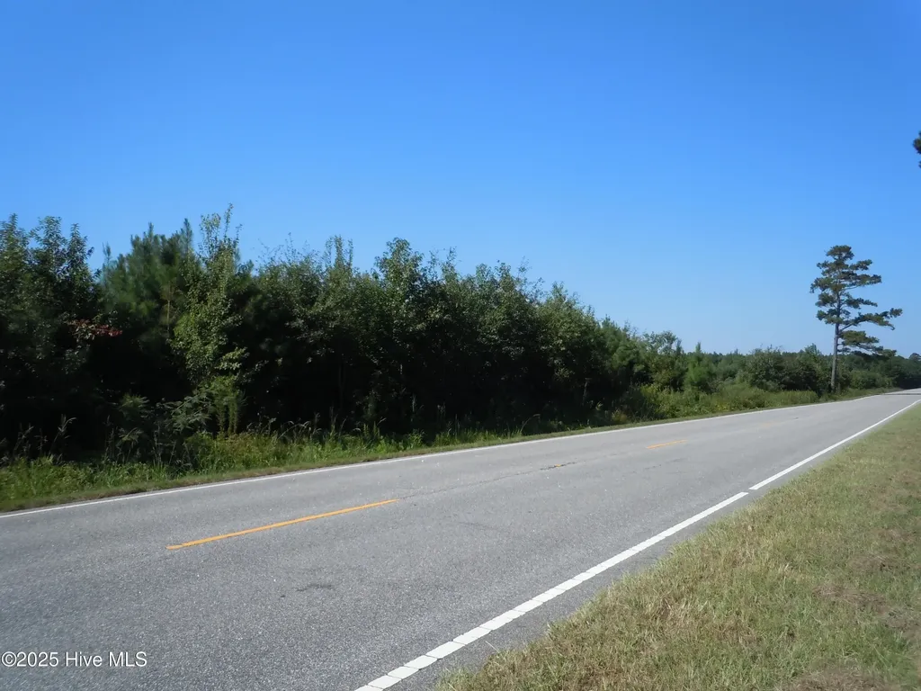 Near 10547 Andrew Jackson Highway SW Fair Bluff NC 28439