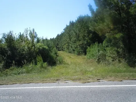 Near 10547 Andrew Jackson Highway SW Fair Bluff NC 28439