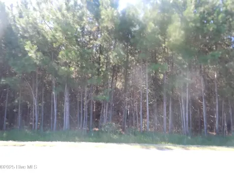 Near 10547 Andrew Jackson Highway SW Fair Bluff NC 28439