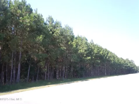 Near 10547 Andrew Jackson Highway SW Fair Bluff NC 28439