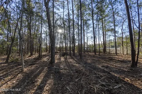 0 Smith Creek Road Vandemere NC 28587