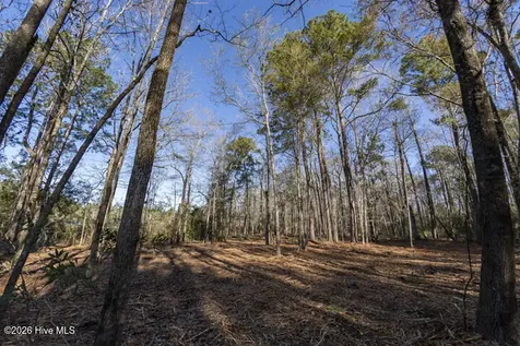 0 Smith Creek Road Vandemere NC 28587