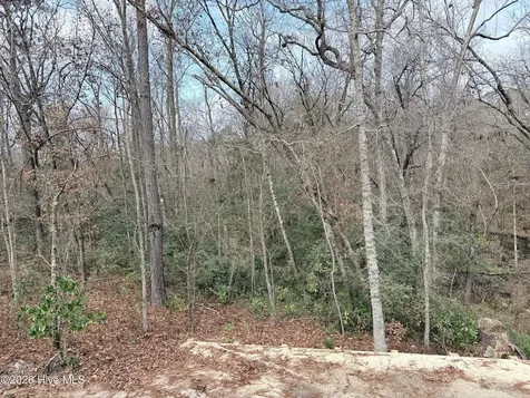 1541 Grandiflora Drive Leland NC 28451