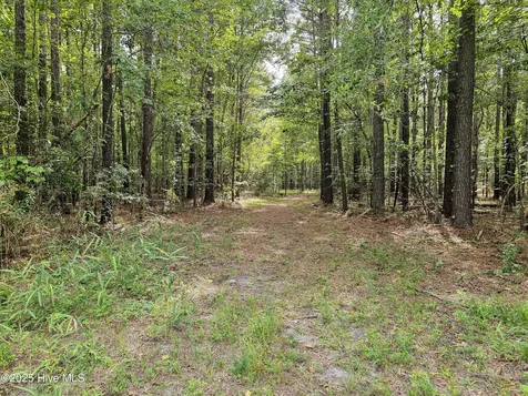 Lot 77 Mcgowan Road Bath NC 27808