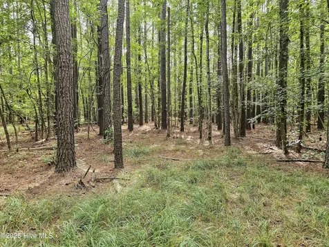 Lot 77 Mcgowan Road Bath NC 27808