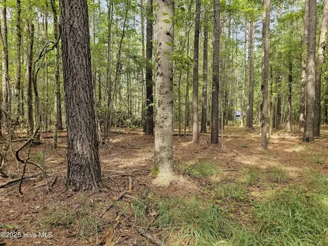 Lot 77 Mcgowan Road Bath NC 27808