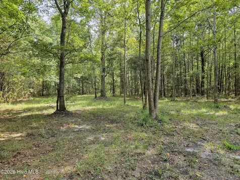 Lot 77 Mcgowan Road Bath NC 27808
