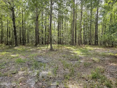 Lot 77 Mcgowan Road Bath NC 27808