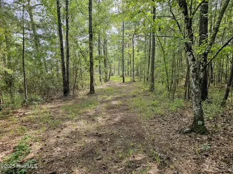 Lot 77 Mcgowan Road Bath NC 27808