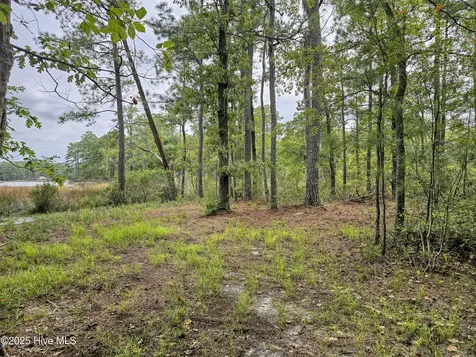 Lot 77 Mcgowan Road Bath NC 27808