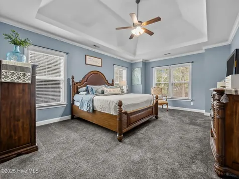 218 Sea Holly Trail Swansboro NC 28584