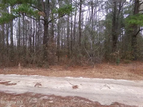 Lot 16 Straight Way Road Fairmont NC 28340