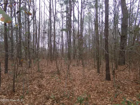 Lot 16 Straight Way Road Fairmont NC 28340