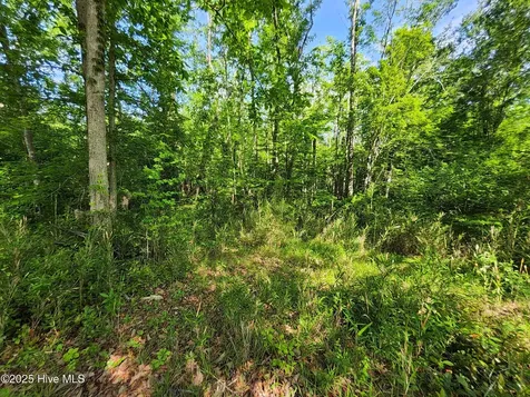Lot 0 State Highway 210 Hampstead NC 28443