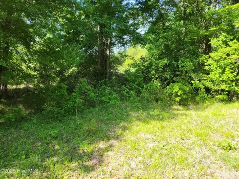 Lot 0 State Highway 210 Hampstead NC 28443