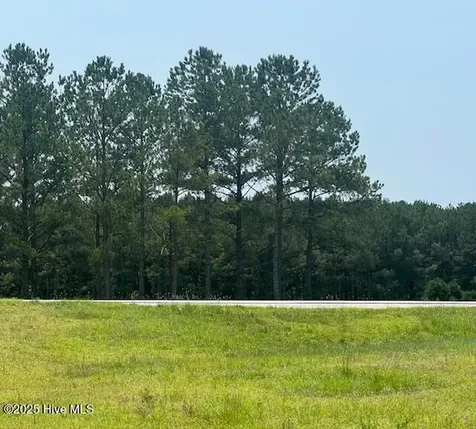 118 Pond Brothers Road Hamlet NC 28345