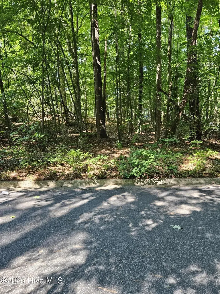 0 Woodlawn East Drive Williamston NC 27892