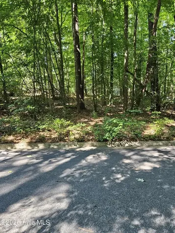 0 Woodlawn East Drive Williamston NC 27892
