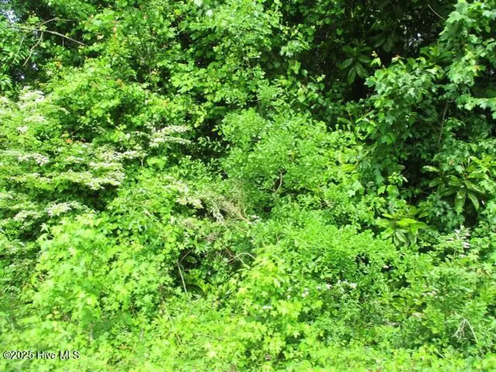 0 Airport Road Garland NC 28441