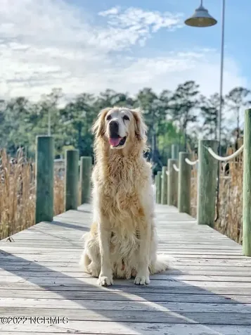 494 W Burton Farm Drive Minnesott Beach NC 28510