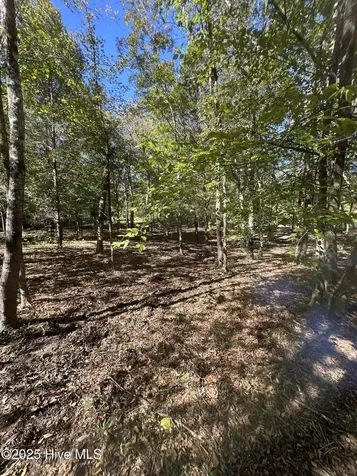 366 Paul Drive Trenton NC 28585