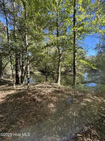 366 Paul Drive Trenton NC 28585