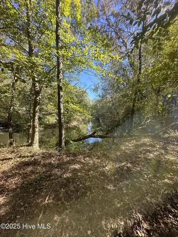 366 Paul Drive Trenton NC 28585
