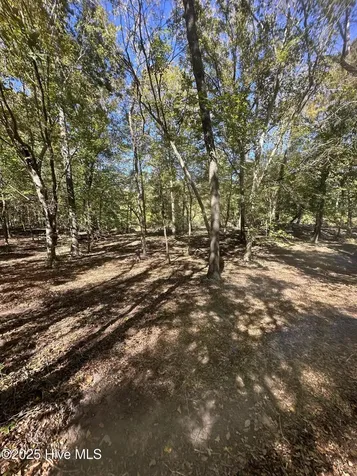 366 Paul Drive Trenton NC 28585