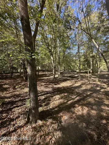 366 Paul Drive Trenton NC 28585