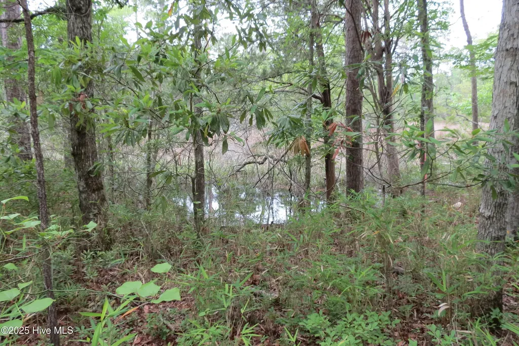 117 Shoreline Court Oriental NC 28571