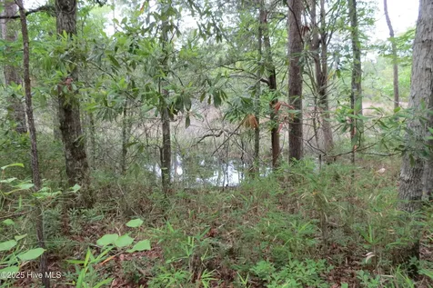 117 Shoreline Court Oriental NC 28571
