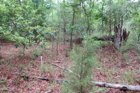 117 Shoreline Court Oriental NC 28571