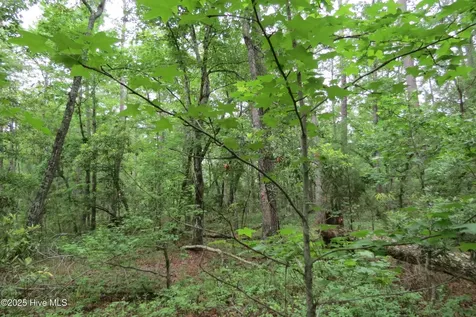 117 Shoreline Court Oriental NC 28571