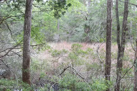 117 Shoreline Court Oriental NC 28571