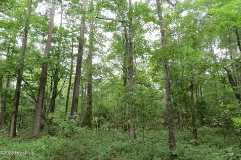 117 Shoreline Court Oriental NC 28571
