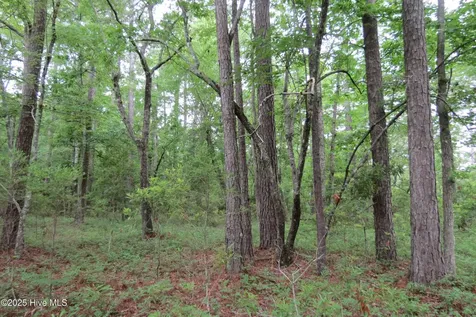 117 Shoreline Court Oriental NC 28571