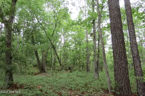 117 Shoreline Court Oriental NC 28571