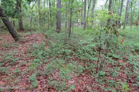 117 Shoreline Court Oriental NC 28571
