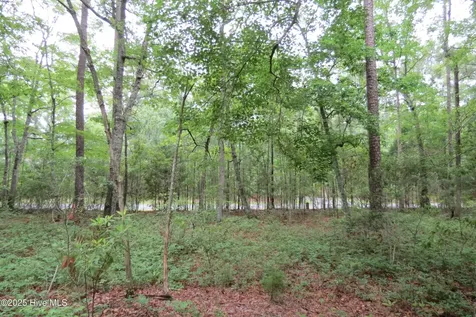 117 Shoreline Court Oriental NC 28571