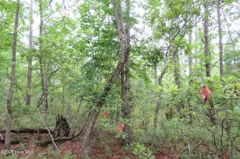 117 Shoreline Court Oriental NC 28571
