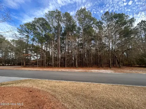264 Red Fox Run Drive Wallace NC 28466