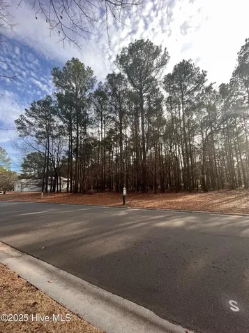 264 Red Fox Run Drive Wallace NC 28466